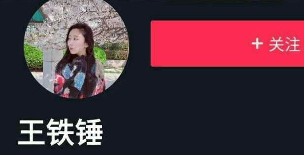 王铁锤是谁啊?