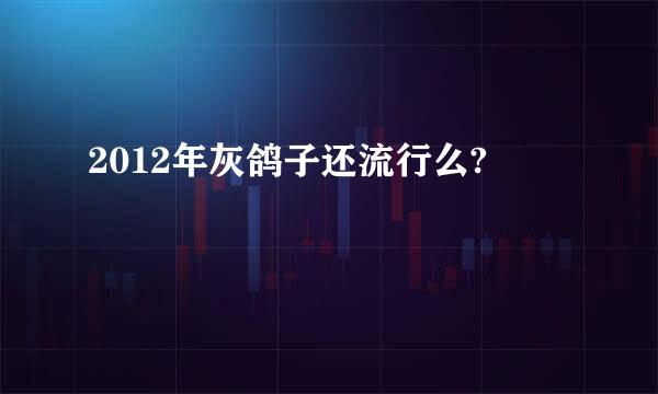 2012年灰鸽子还流行么?