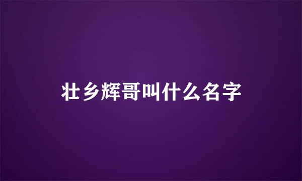 壮乡辉哥叫什么名字