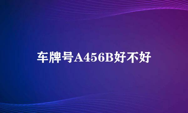 车牌号A456B好不好