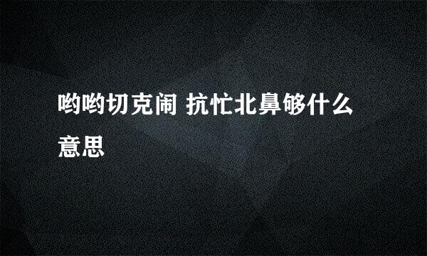 哟哟切克闹 抗忙北鼻够什么意思