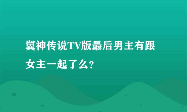 翼神传说TV版最后男主有跟女主一起了么？