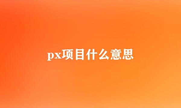 px项目什么意思