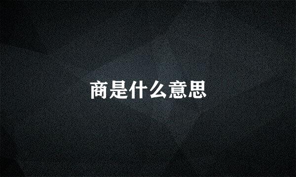 商是什么意思