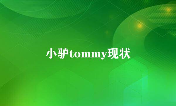 小驴tommy现状