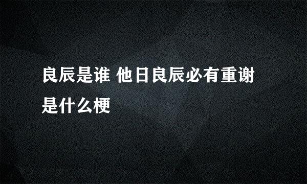 良辰是谁 他日良辰必有重谢是什么梗