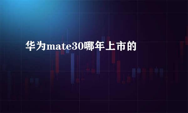 华为mate30哪年上市的