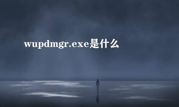 wupdmgr.exe是什么