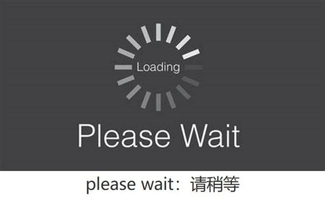 please wait是什么意思?