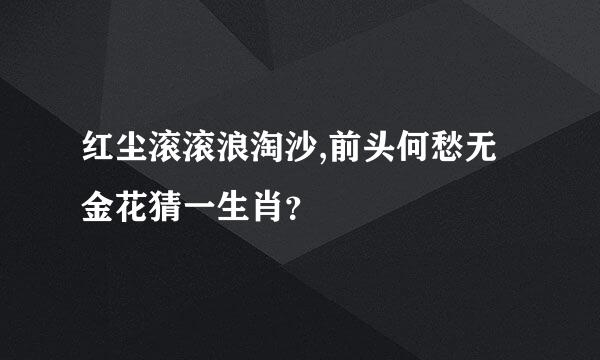 红尘滚滚浪淘沙,前头何愁无金花猜一生肖？