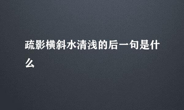 疏影横斜水清浅的后一句是什么