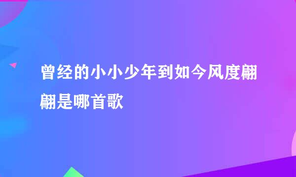 曾经的小小少年到如今风度翩翩是哪首歌