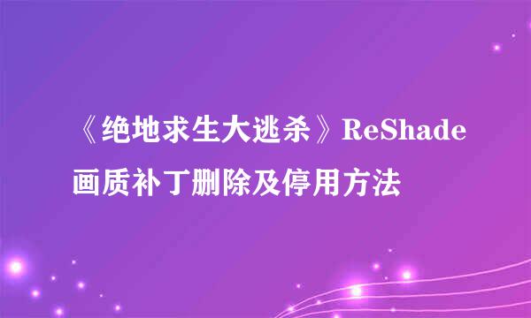 《绝地求生大逃杀》ReShade画质补丁删除及停用方法