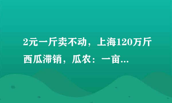 2元一斤卖不动，上海120万斤西瓜滞销，瓜农：一亩地亏上万元