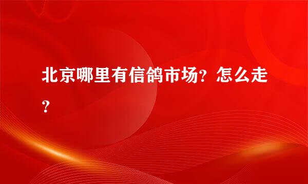 北京哪里有信鸽市场？怎么走？