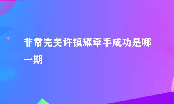 非常完美许镇耀牵手成功是哪一期