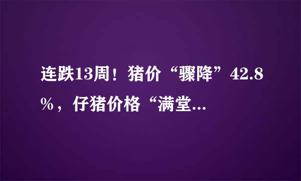 连跌13周！猪价“骤降”42.8%，仔猪价格“满堂红”！发生了啥？