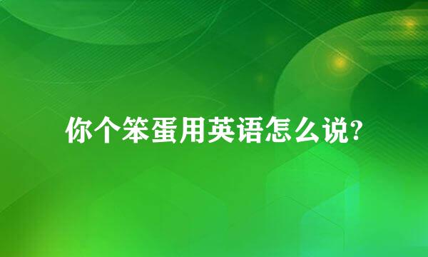 你个笨蛋用英语怎么说?