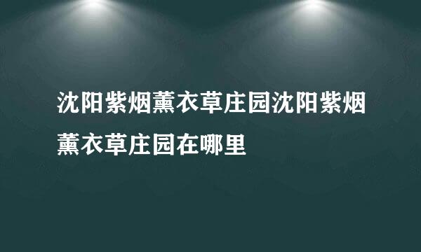 沈阳紫烟薰衣草庄园沈阳紫烟薰衣草庄园在哪里