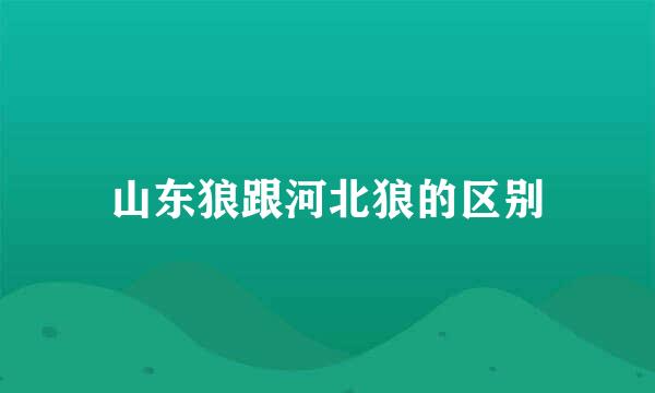 山东狼跟河北狼的区别