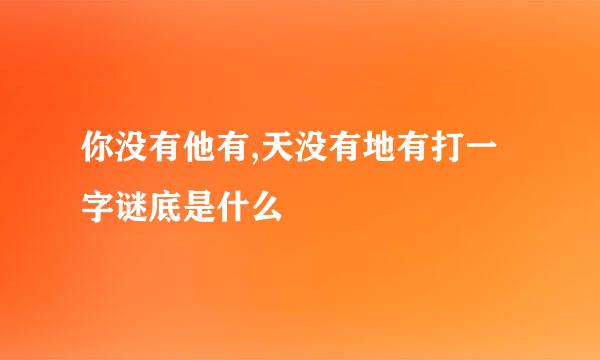 你没有他有,天没有地有打一字谜底是什么