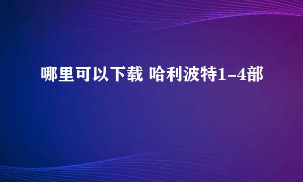 哪里可以下载 哈利波特1-4部