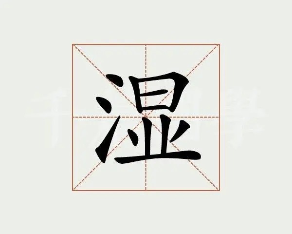 湿是什么意思