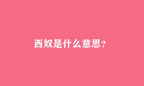 西奴是什么意思？