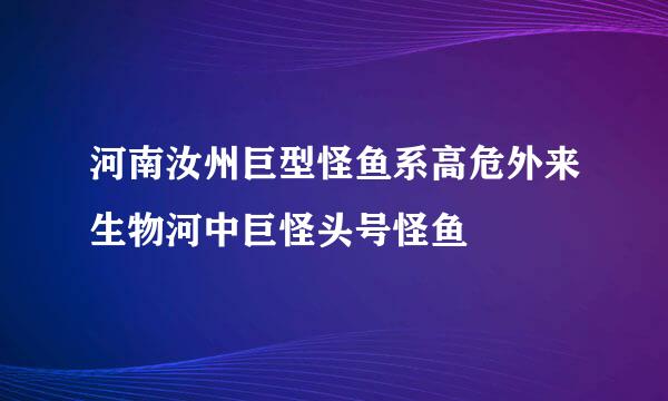 河南汝州巨型怪鱼系高危外来生物河中巨怪头号怪鱼