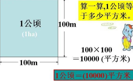 公顷等于多少亩