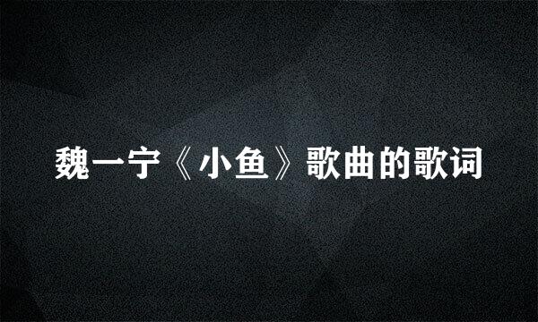 魏一宁《小鱼》歌曲的歌词