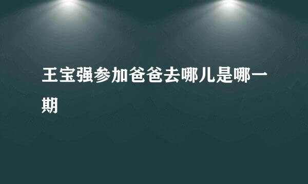 王宝强参加爸爸去哪儿是哪一期