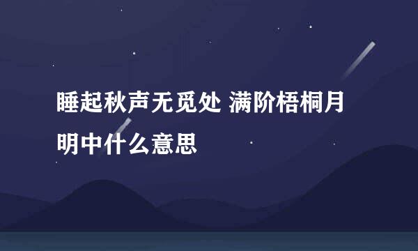 睡起秋声无觅处 满阶梧桐月明中什么意思