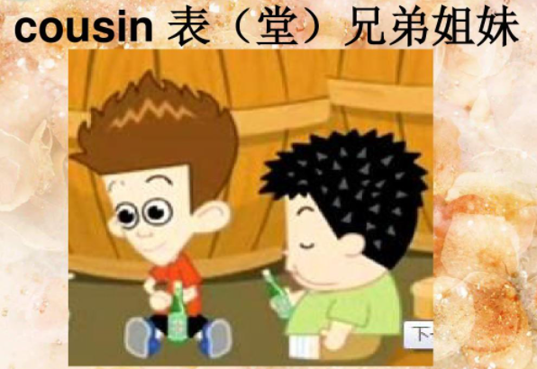 cousins是什么意思