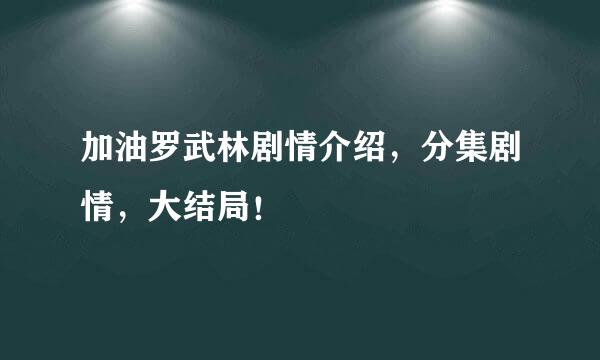 加油罗武林剧情介绍，分集剧情，大结局！