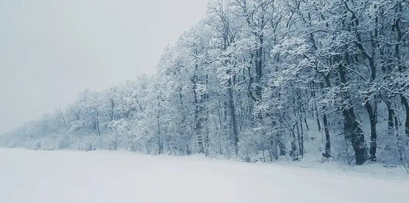 小雪人的特点