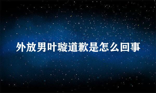 外放男叶璇道歉是怎么回事