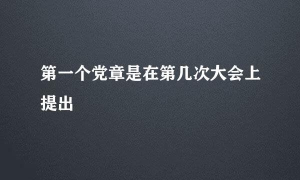 第一个党章是在第几次大会上提出