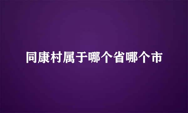 同康村属于哪个省哪个市