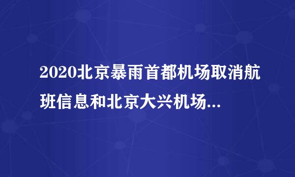 2020北京暴雨首都机场取消航班信息和北京大兴机场取消航班信息