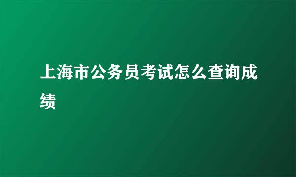 上海市公务员考试怎么查询成绩