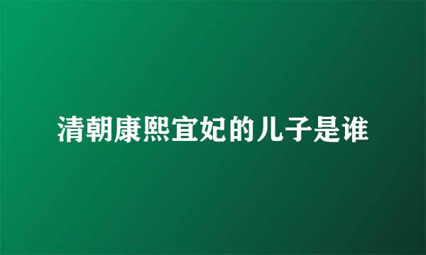 清朝康熙宜妃的儿子是谁