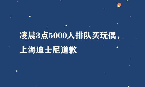 凌晨3点5000人排队买玩偶，上海迪士尼道歉