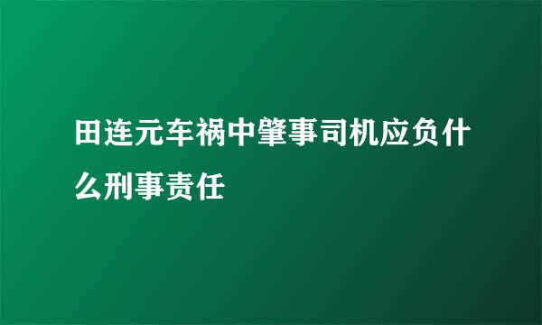 田连元车祸中肇事司机应负什么刑事责任