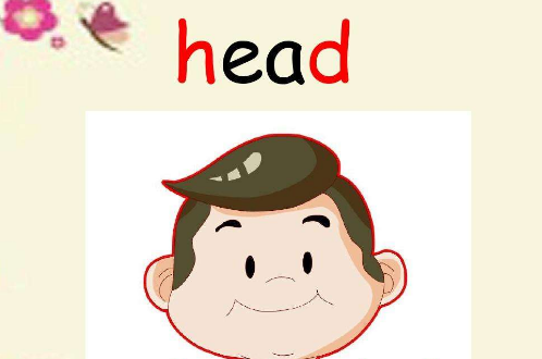 head是什么意思