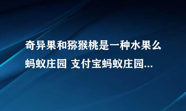 奇异果和猕猴桃是一种水果么蚂蚁庄园 支付宝蚂蚁庄园答案4.13最新