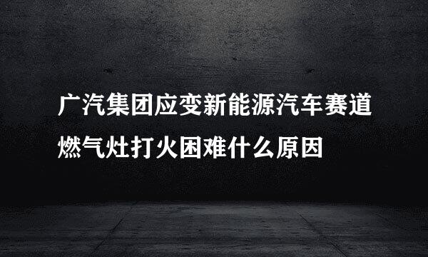 广汽集团应变新能源汽车赛道燃气灶打火困难什么原因