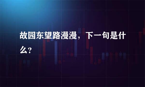 故园东望路漫漫，下一句是什么？