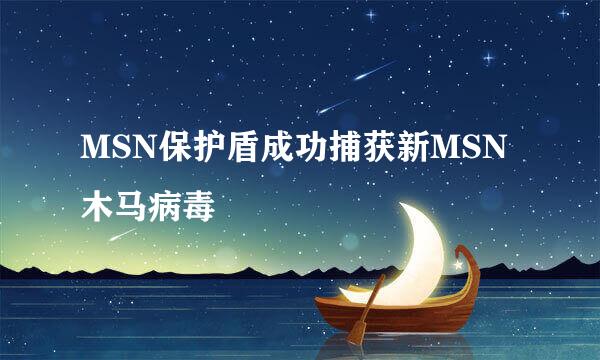 MSN保护盾成功捕获新MSN木马病毒