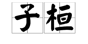 “子桓”是什么意思？